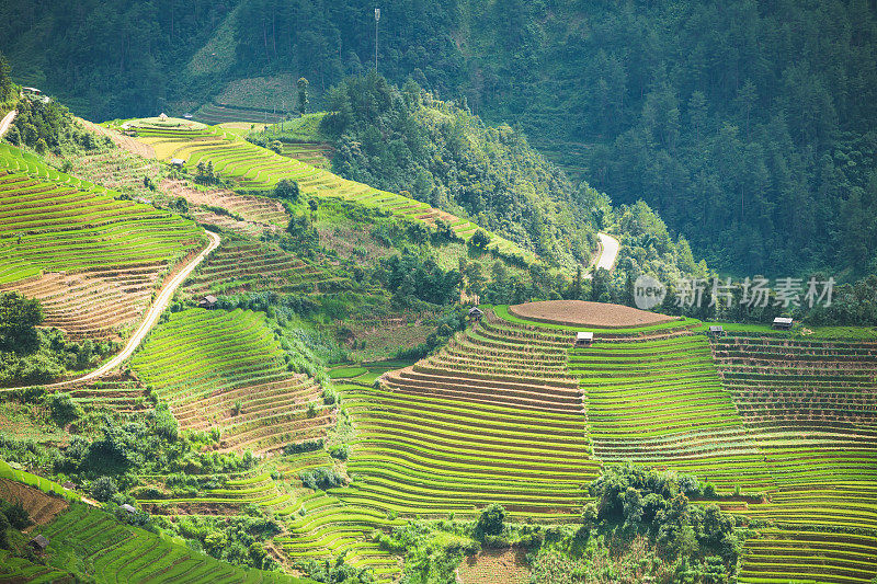 美丽的风景，绿色的稻田准备在越南西北部的梯田日落山在木仓寨，Yen Bai，越南